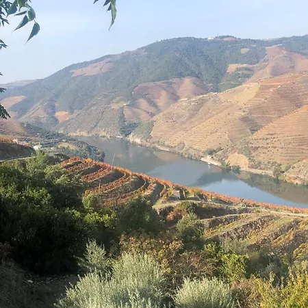 Castas Do Douro * Tabuaço
