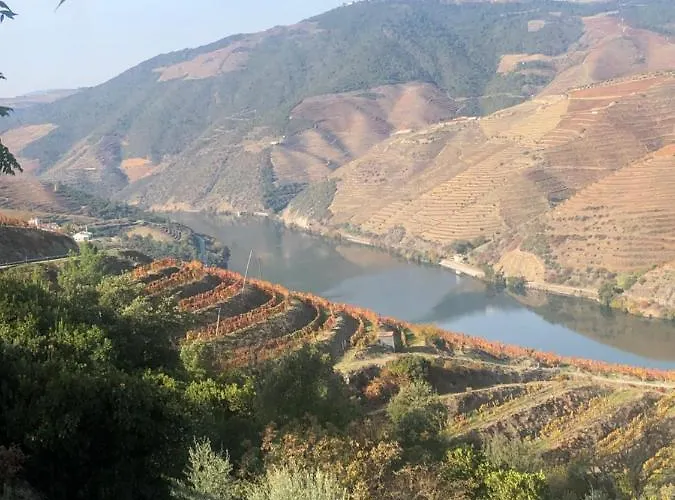 Castas Do Douro * Tabuaço